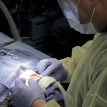 crown procedure steps - dental crown videos - stainless steel crown procedure video