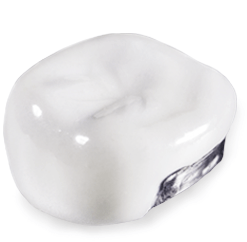 Order Cheng Crowns Pre-Veneered Stainless Steel Pediatric Crowns with White Facings